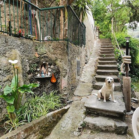 Itaca Otel Varazze Dış mekan fotoğraf