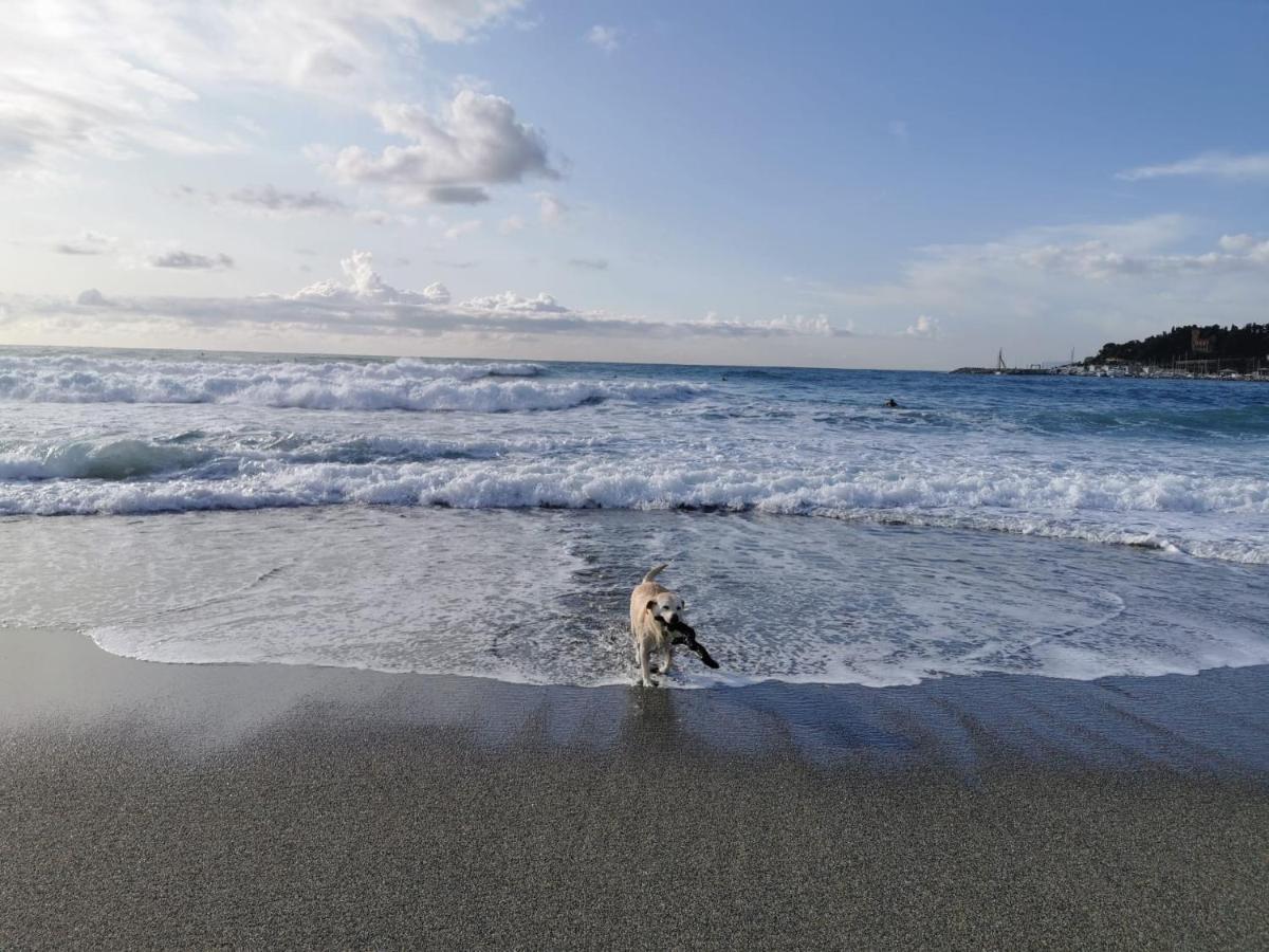 Itaca Otel Varazze Dış mekan fotoğraf
