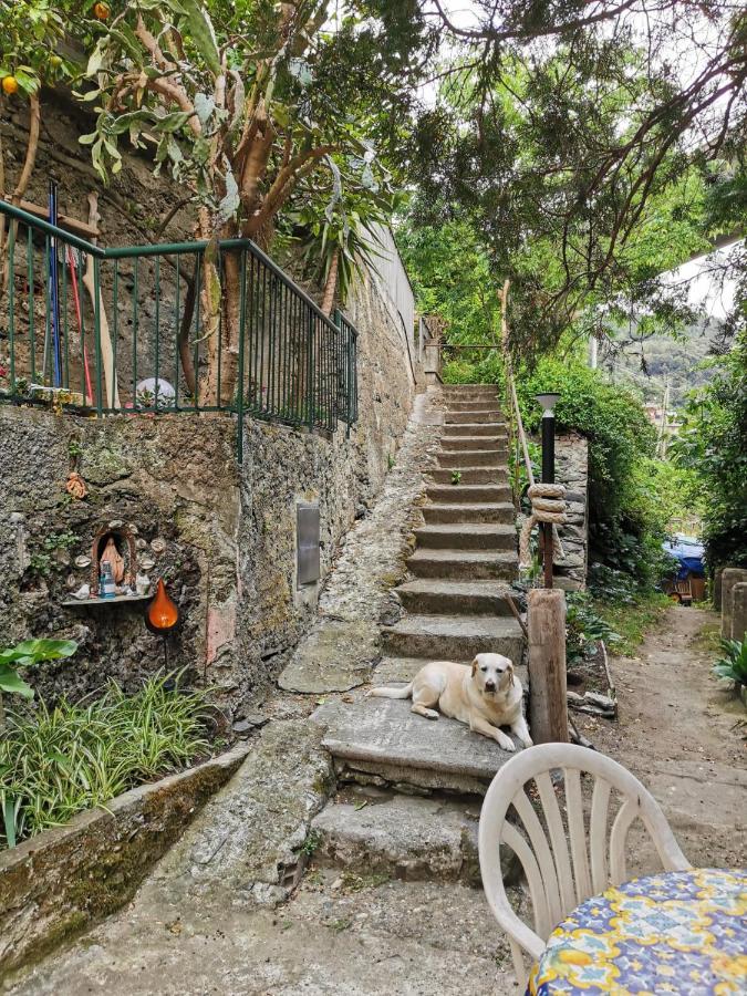 Itaca Otel Varazze Dış mekan fotoğraf