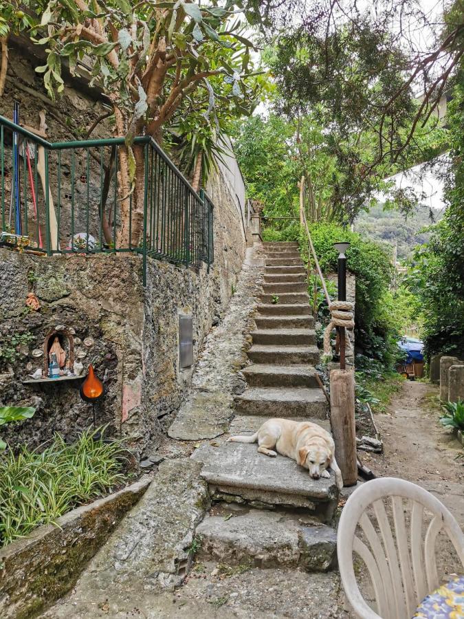 Itaca Otel Varazze Dış mekan fotoğraf