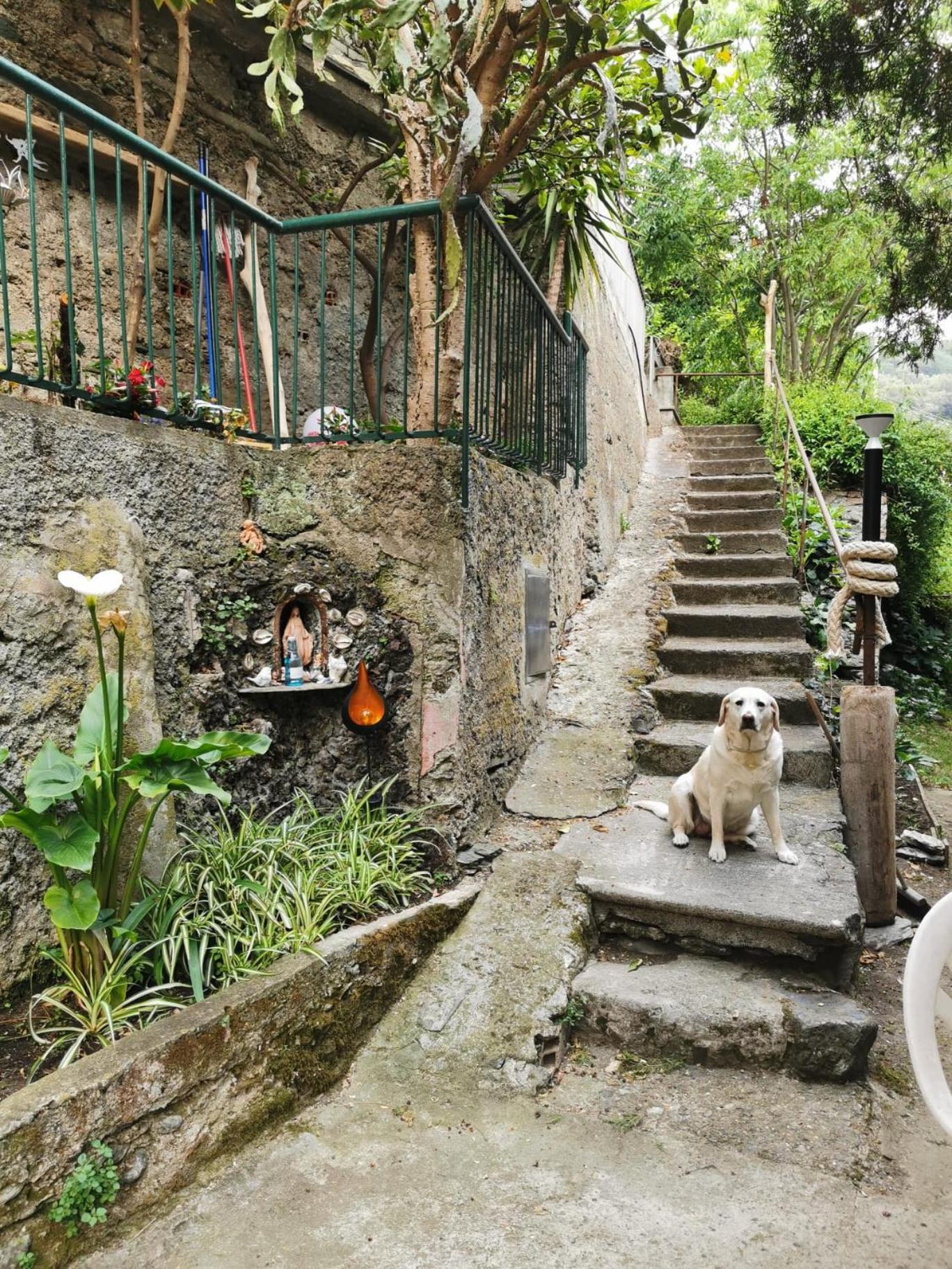 Itaca Otel Varazze Dış mekan fotoğraf