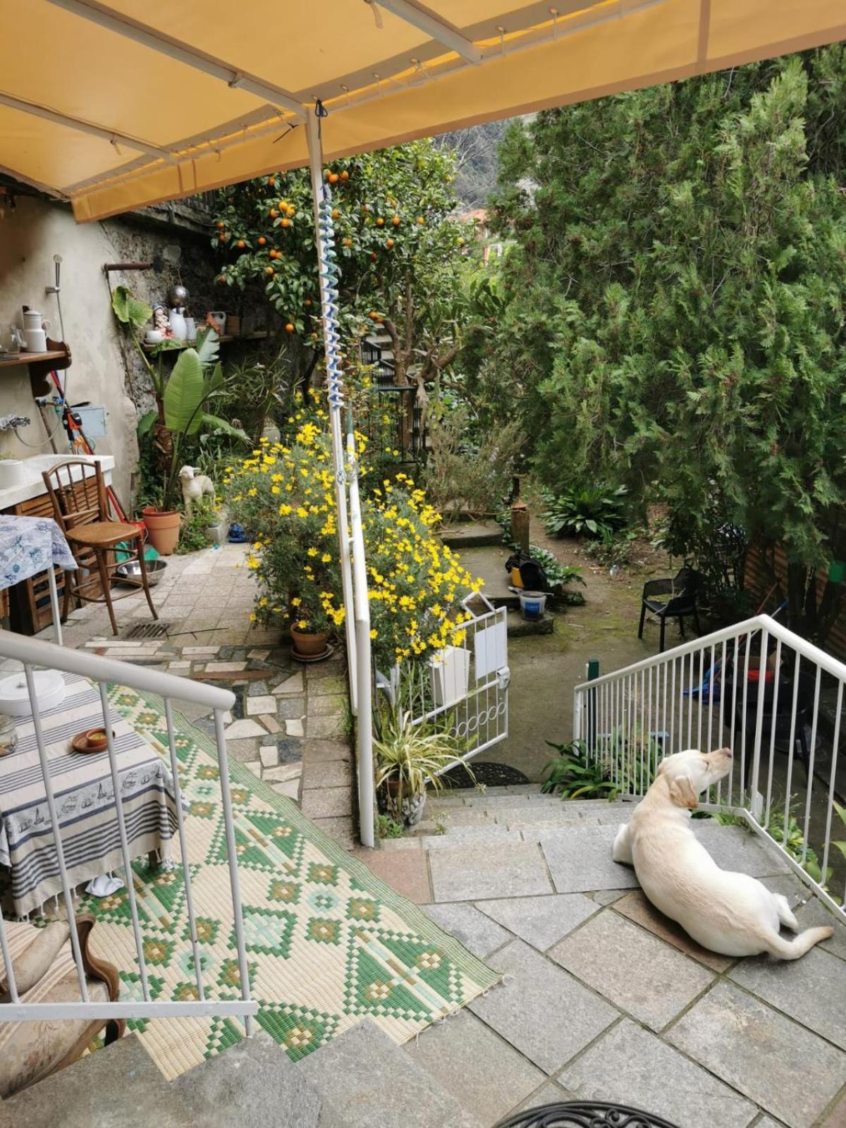 Itaca Otel Varazze Dış mekan fotoğraf