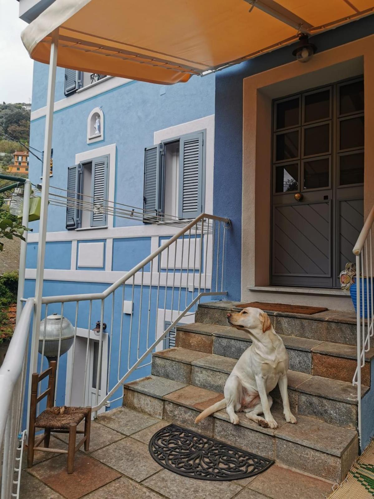 Itaca Otel Varazze Dış mekan fotoğraf